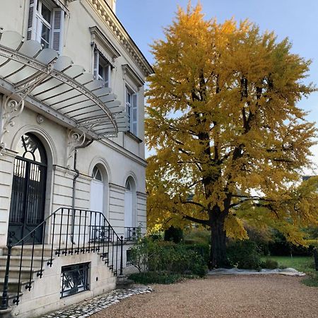 A L'Abri Du Ginkgo Daire Tours Dış mekan fotoğraf