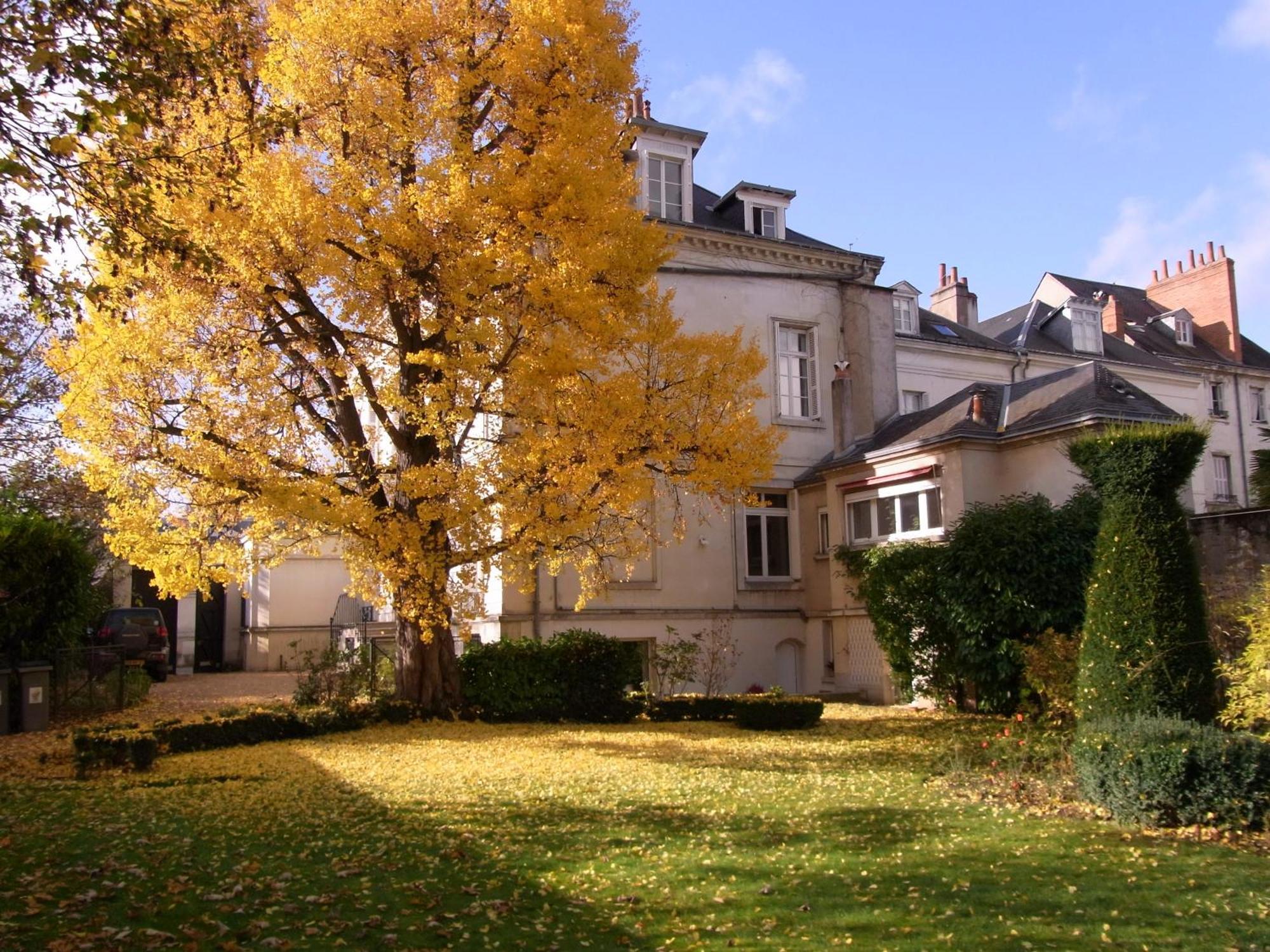 A L'Abri Du Ginkgo Daire Tours Dış mekan fotoğraf